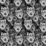 Wolves-23.jpg