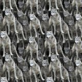 Wolves-25.jpg