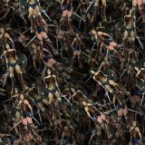 Wonder-Woman-24.jpg