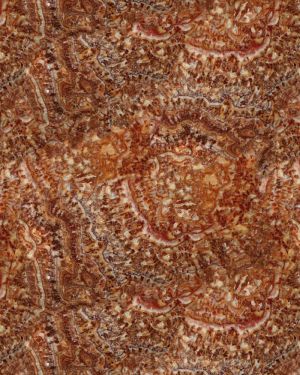 Wood Onyx