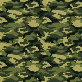 Woodlands-22-Camo.jpg