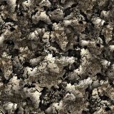 World-Desert-22-Camo.jpg