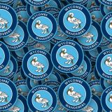 Wycombe-Wanderers-FC.jpg