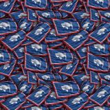 Wyoming-State-Flag.jpg