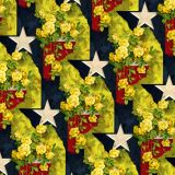 Yellow-Rose-of-Texas-23-thumb.jpg