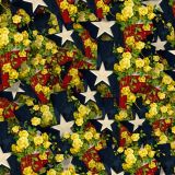 Yellow-Rose-of-Texas-26-thumb.jpg