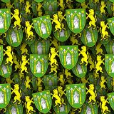 Yeovil-Town-FC.jpg