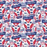 York-City-FC.jpg