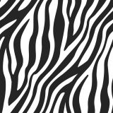 Zebra-22.jpg