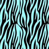 Zebra-23.jpg