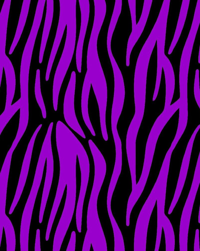 Zebra 25