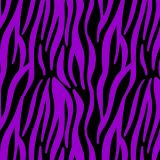 Zebra-25.jpg