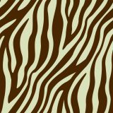Zebra-26.jpg