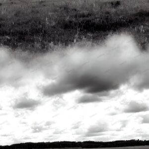 Field Under a Partially Cloudy Sky