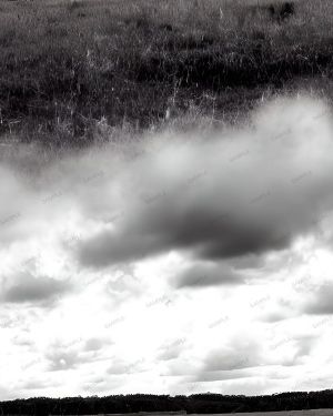 Field Under a Partially Cloudy Sky
