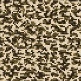Digital-Desert-Camo-45.jpg