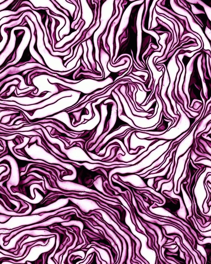 Red Cabbage