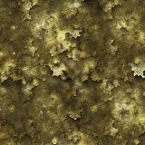 Tactical-Camo-220.jpg