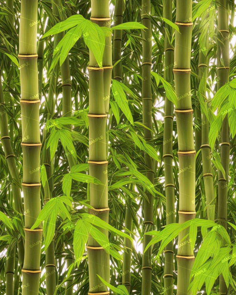 Bamboo Forest 44