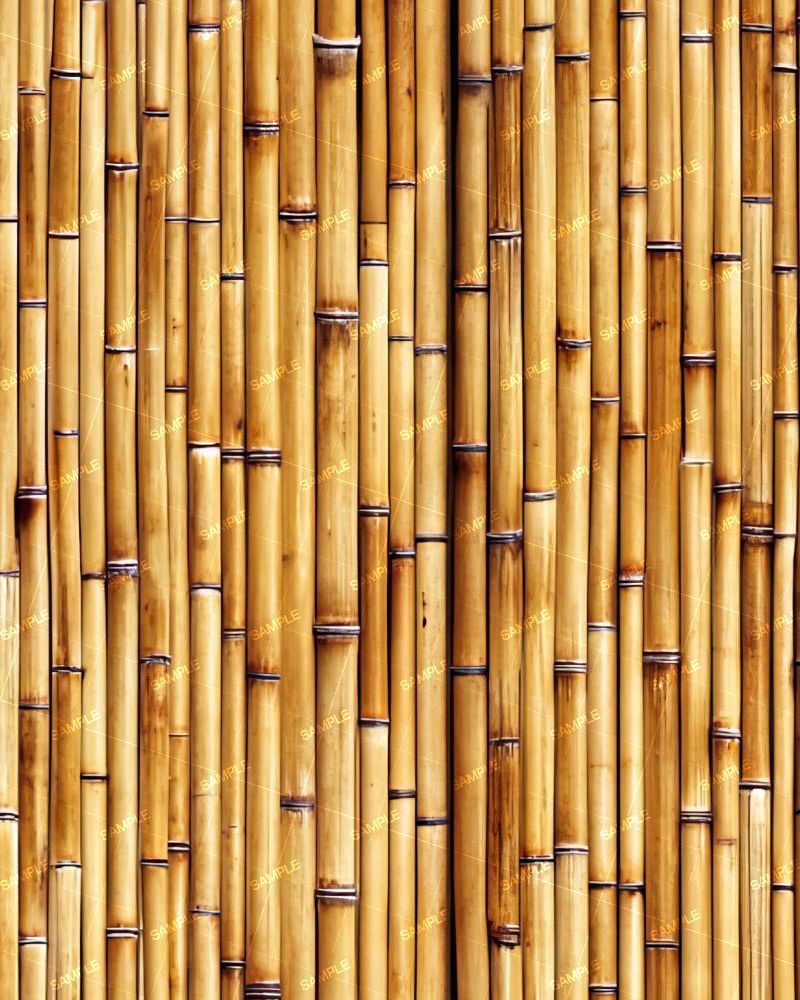 Bamboo Wall 43