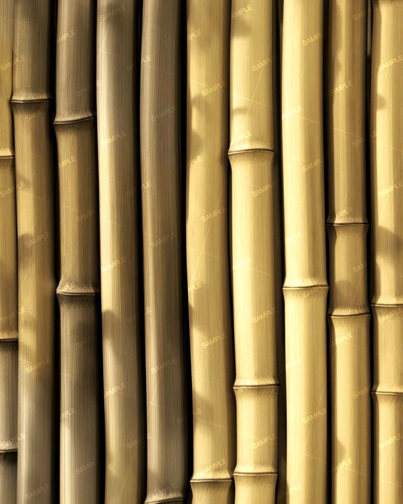 Bamboo Wall 49