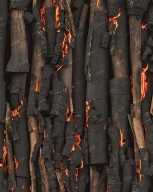 Burning Sticks