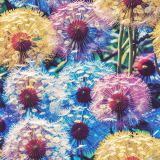 Dandelions-44.jpg