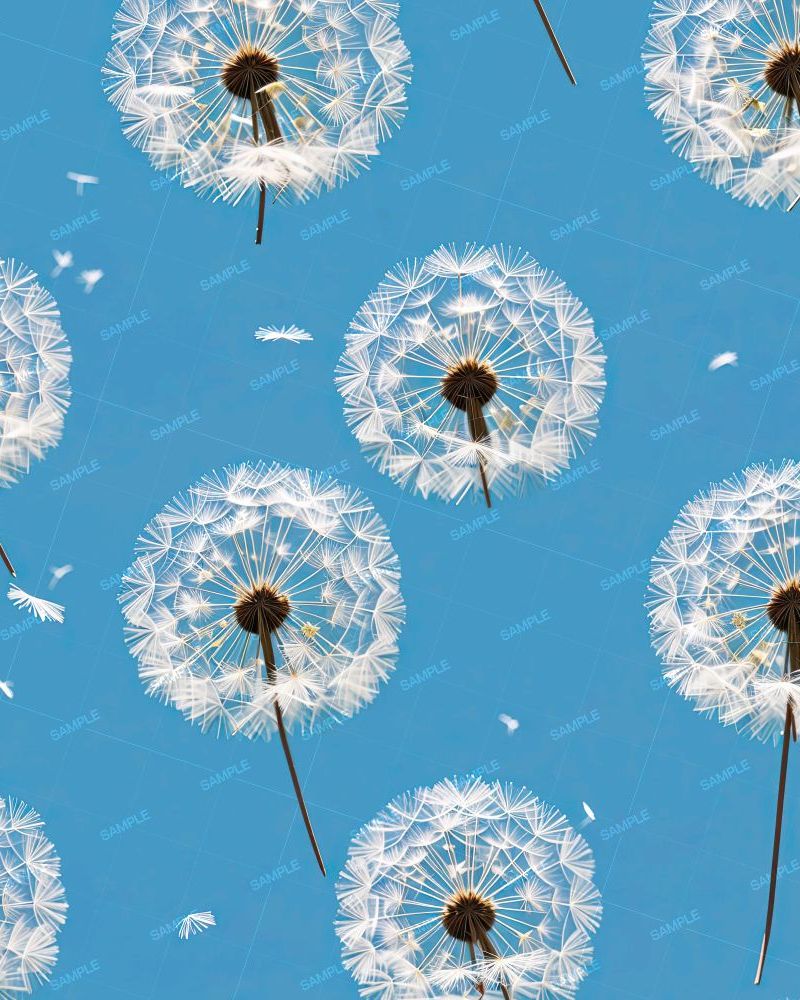 Dandelions on the Wind