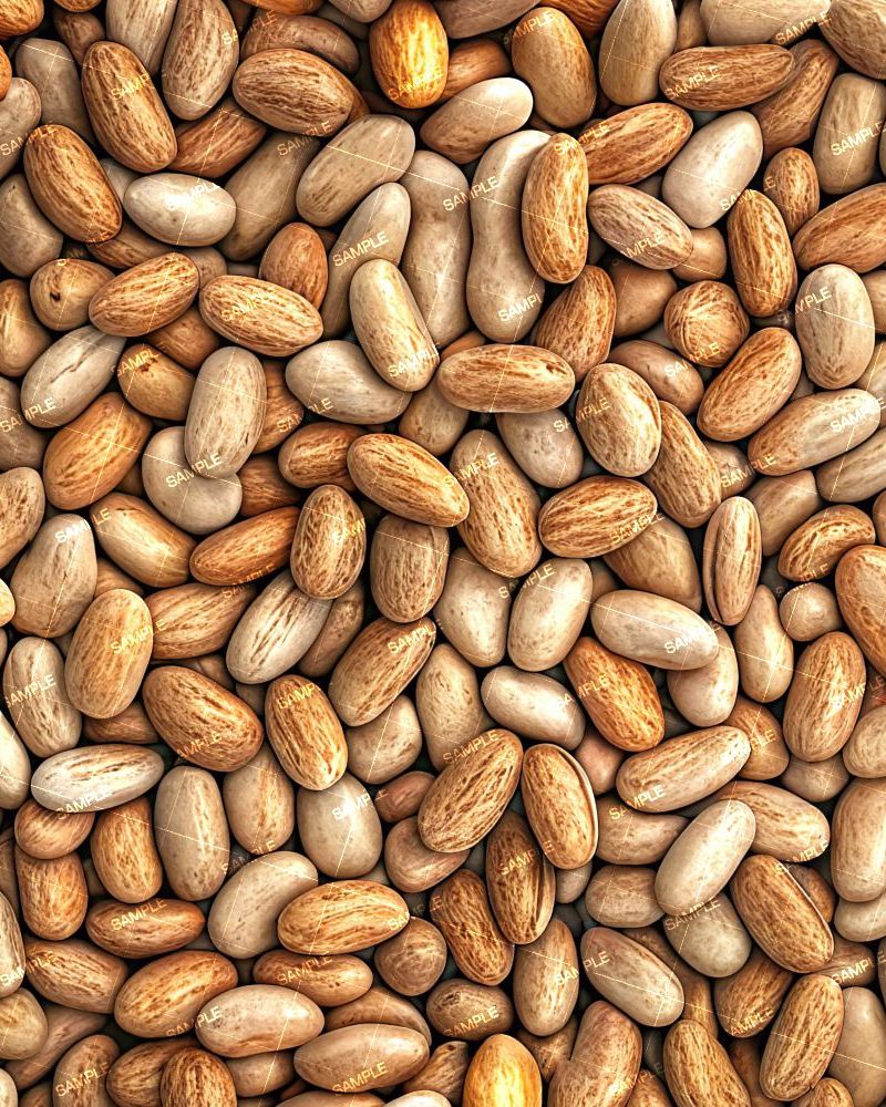 Dried Beans