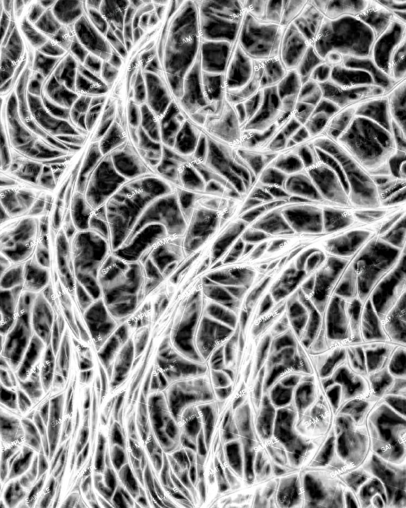 Fungus Tendrils