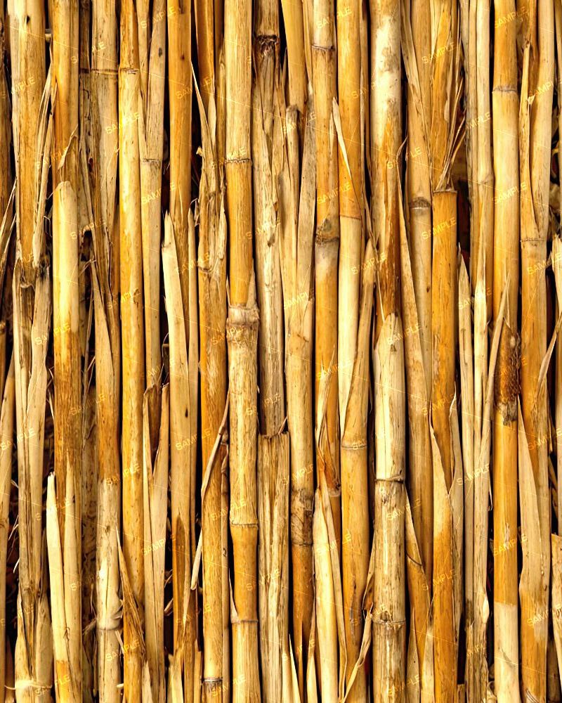 Grass Reeds 44