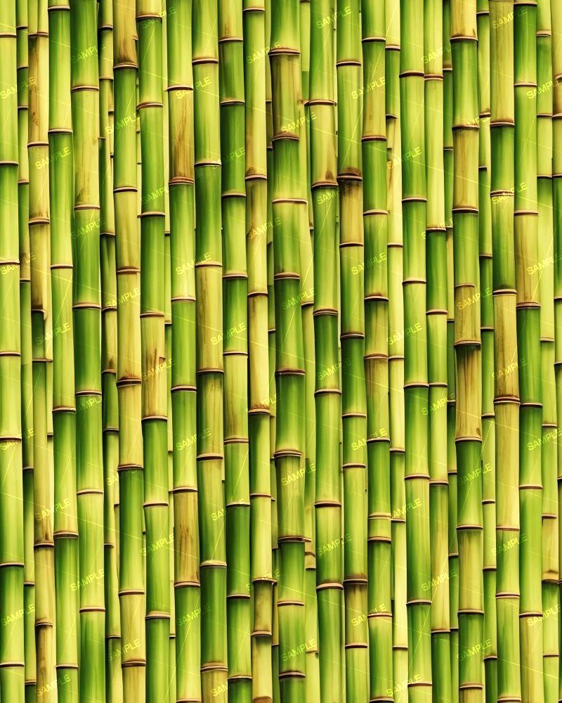 Green Bamboo Wall 42