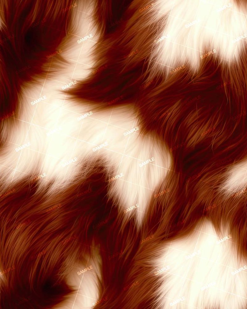 Highland Cow Fur 43