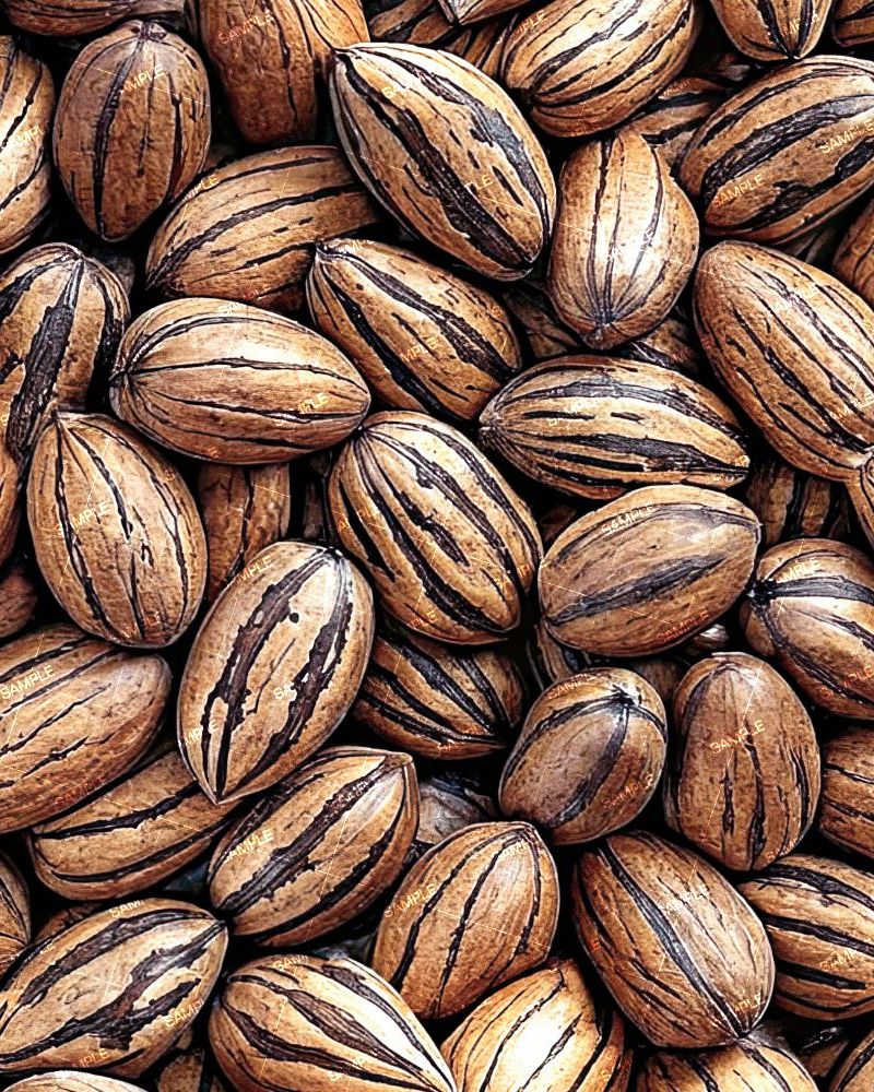 Pecans 44
