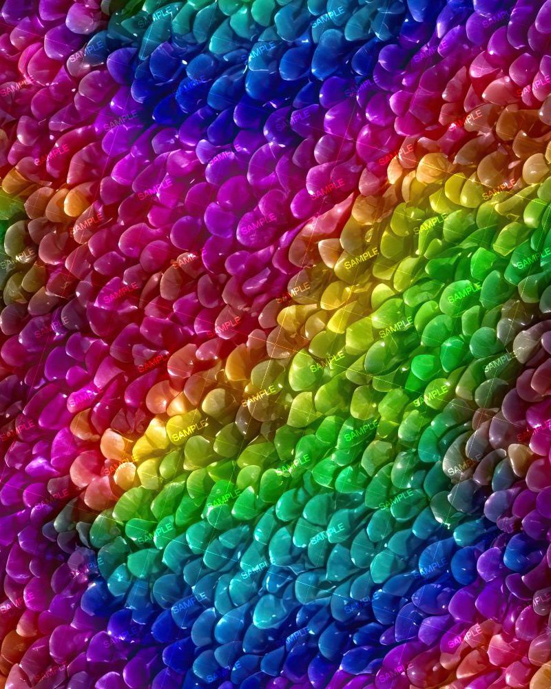 Rainbow Dragon Skin