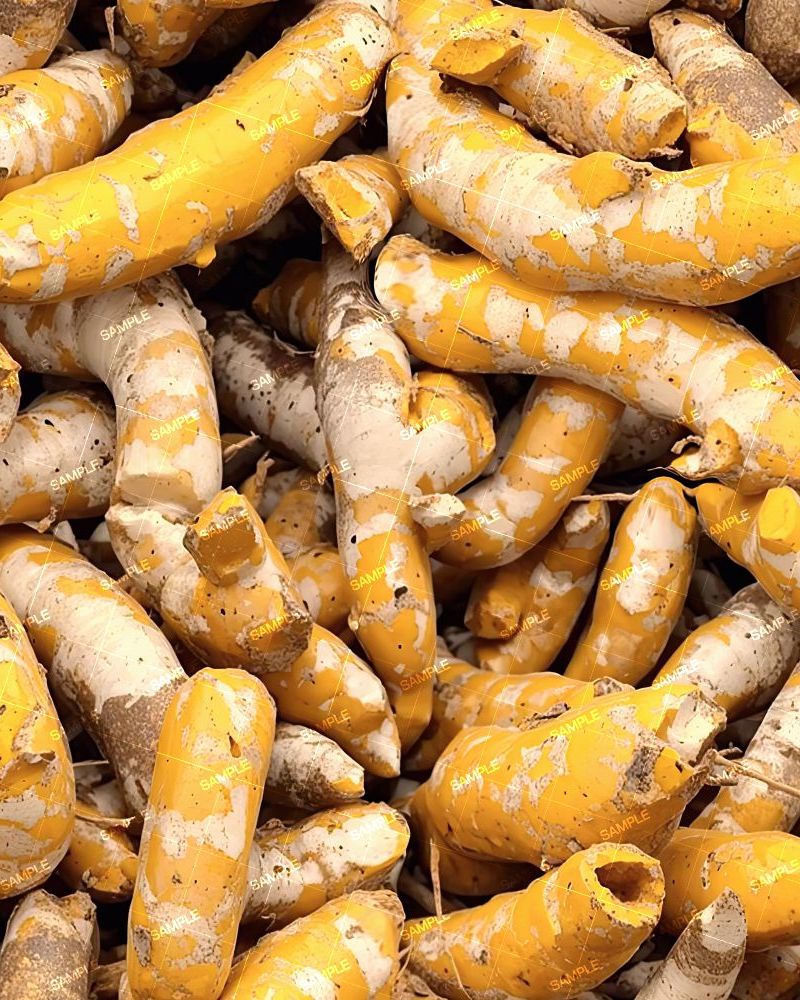Tumeric Root