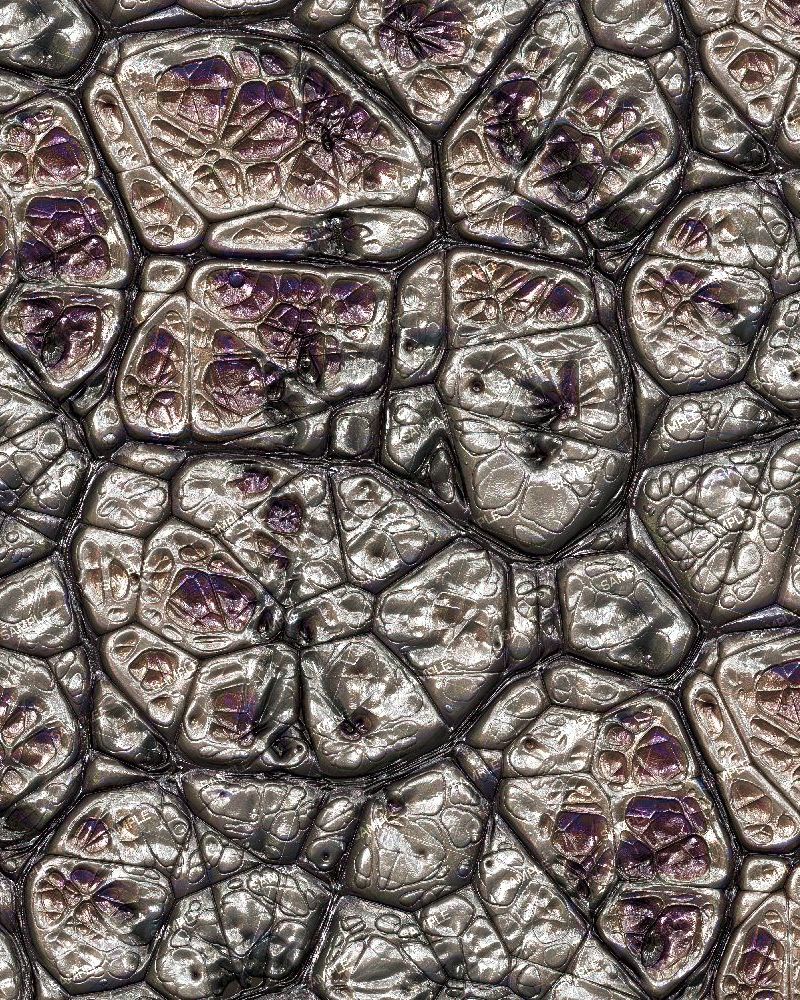 Alien Texture 455