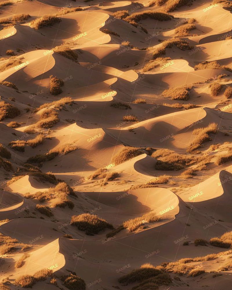 Beach Dunes at Sunset