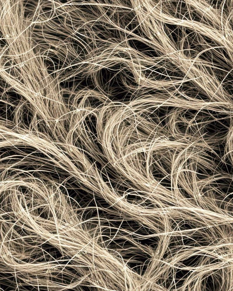 Hemp Fibers