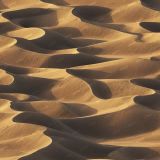 Sand-Dunes-in-the-Late-Afternoon.jpg