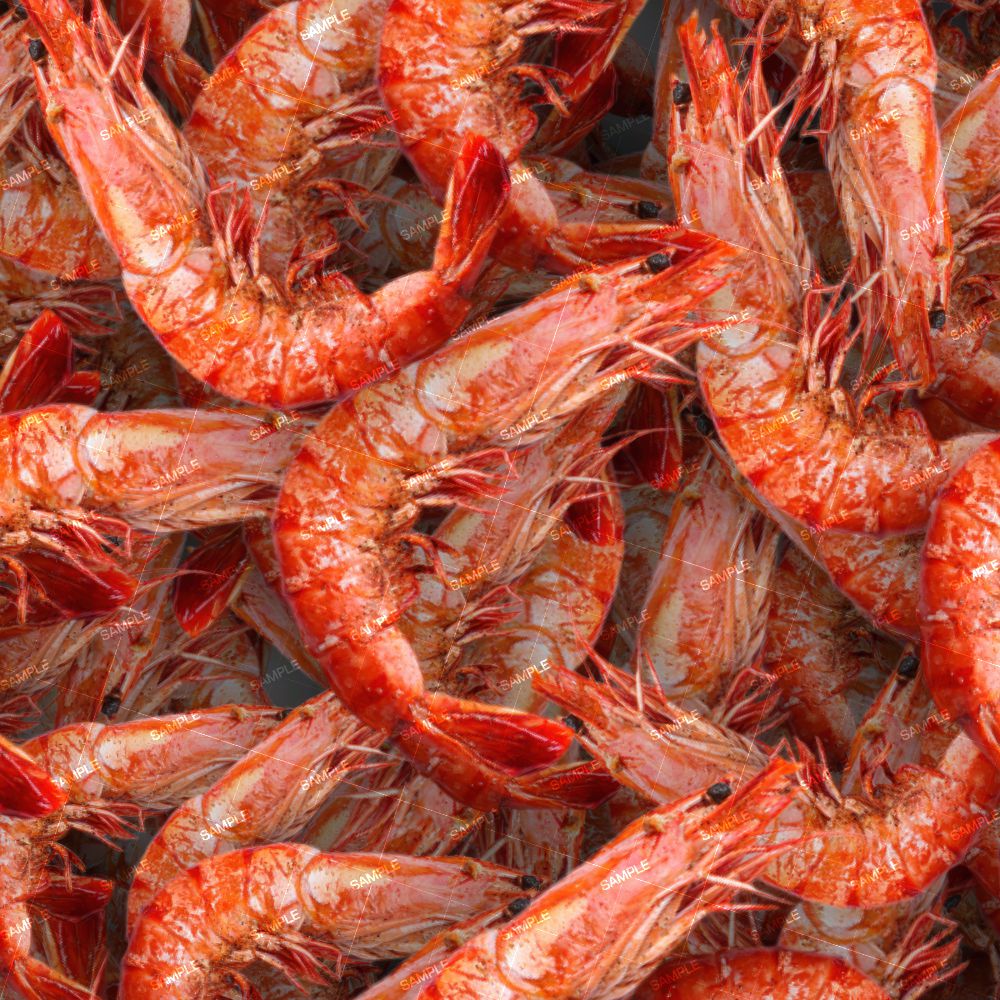 Shrimp 22