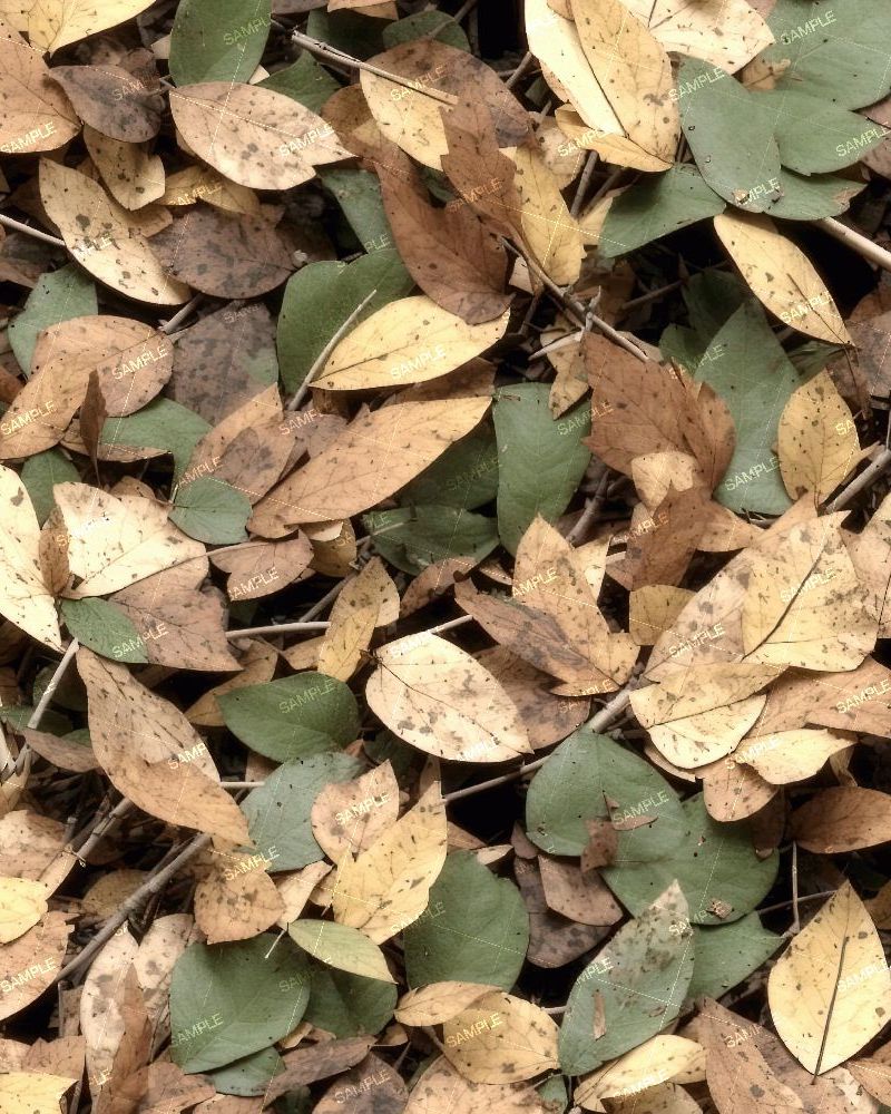 Tactical Camouflage 235