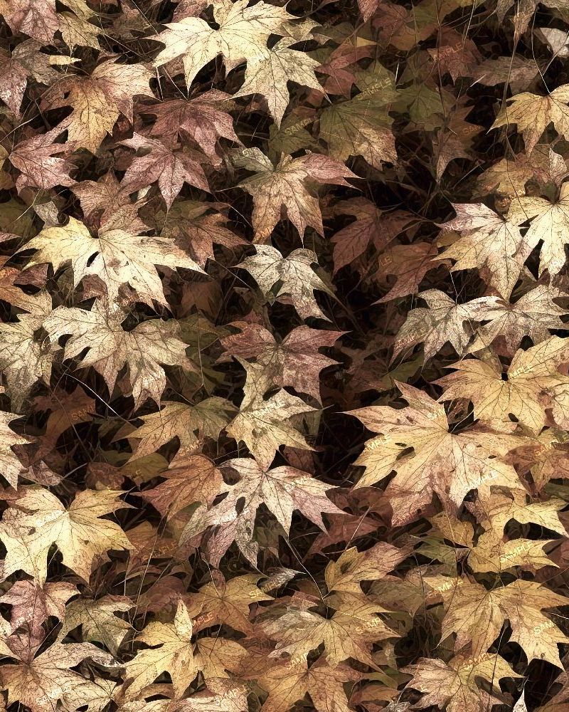 Tactical Camouflage 225