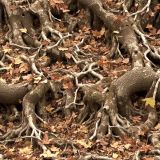 Tactical-Camouflage-228.jpg