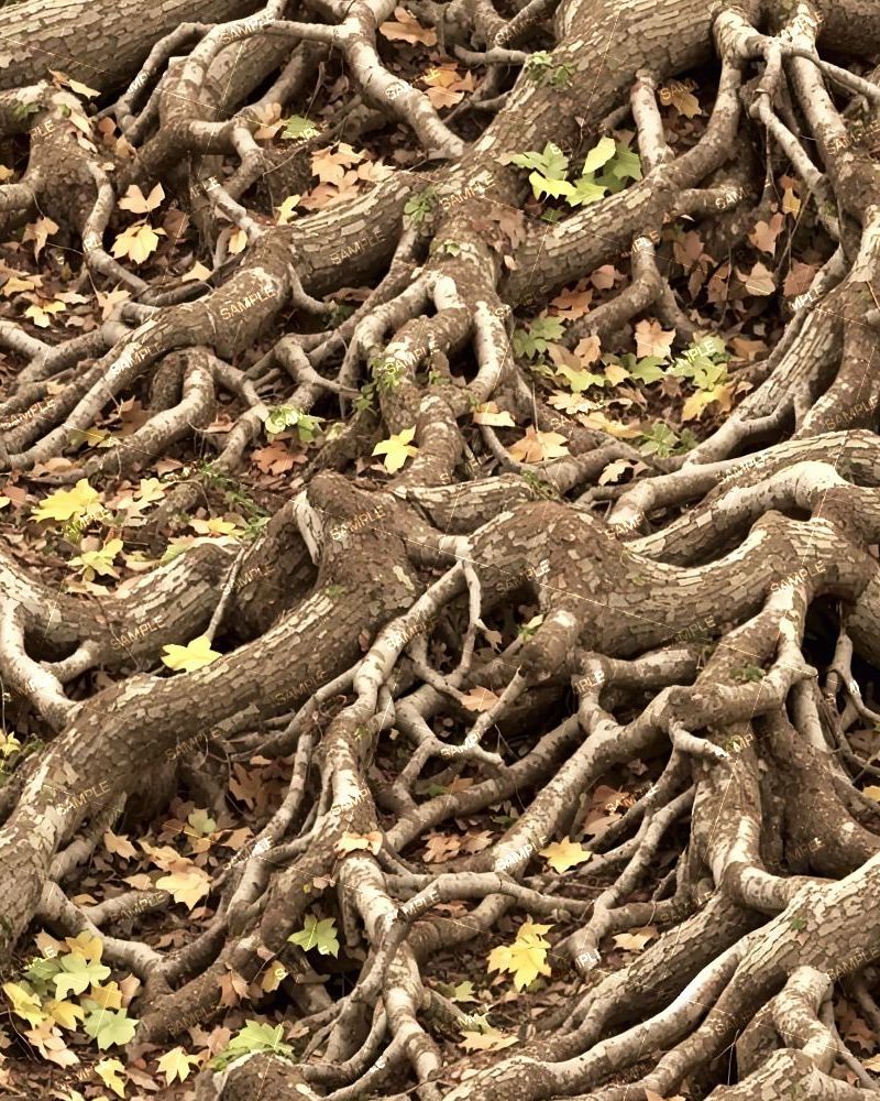 Tactical Camouflage 229