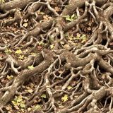 Tactical-Camouflage-229.jpg