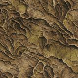 Tactical-Camouflage-246.jpg