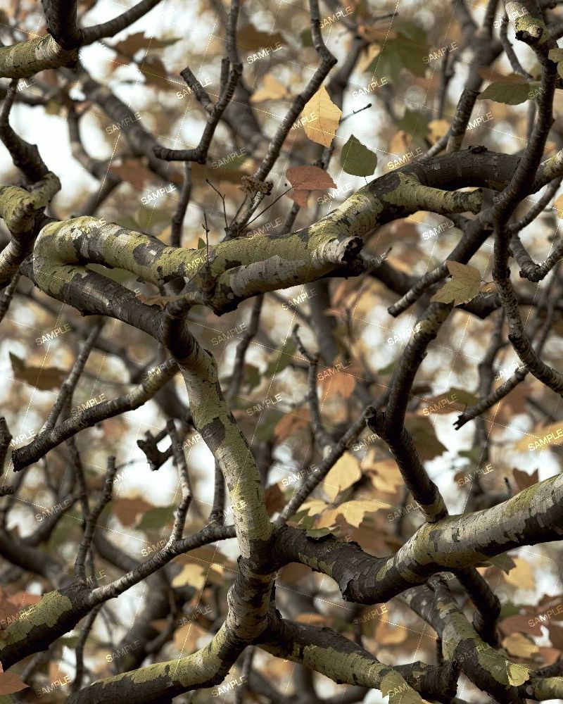 Tactical Camouflage 248