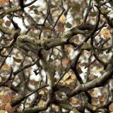 Tactical-Camouflage-248.jpg