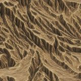 Tactical-Camouflage-253.jpg